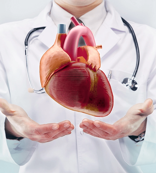 Organ Transplant