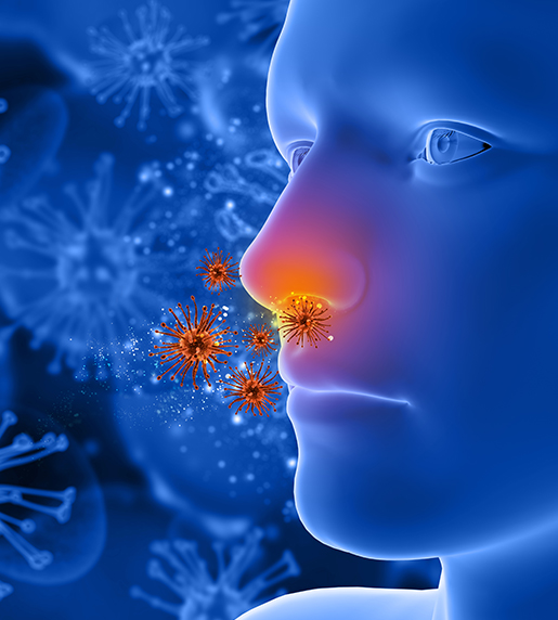 Allergy Diseases