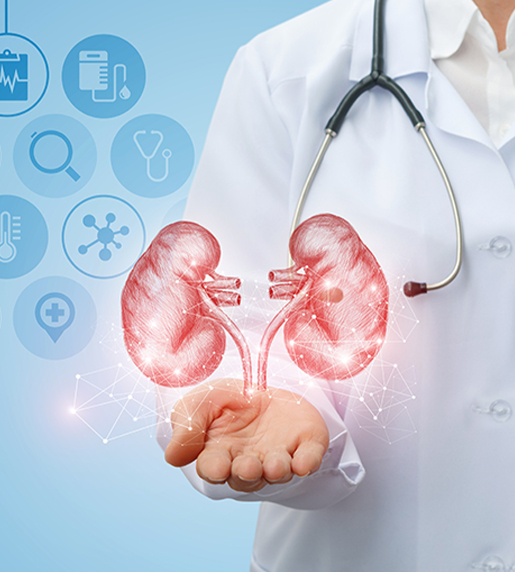 Kidney Transplant