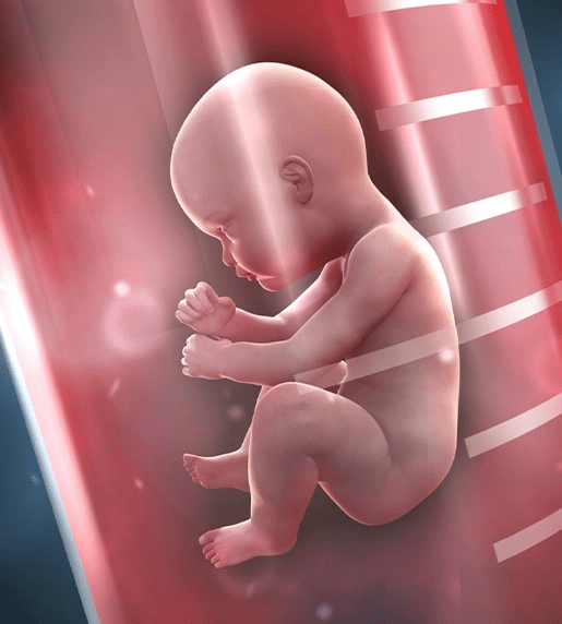 IVF Treatment