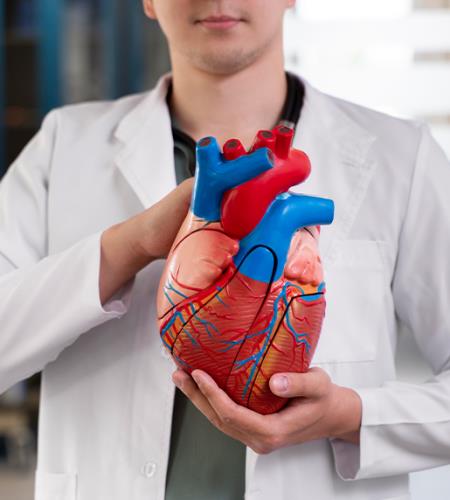 Heart Valve Diseases