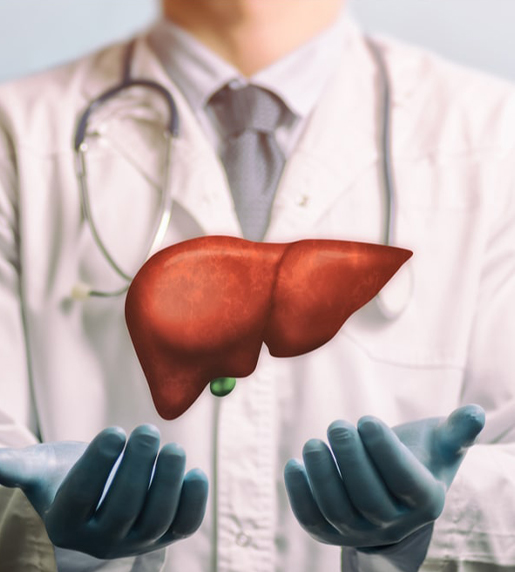 Liver Transplant