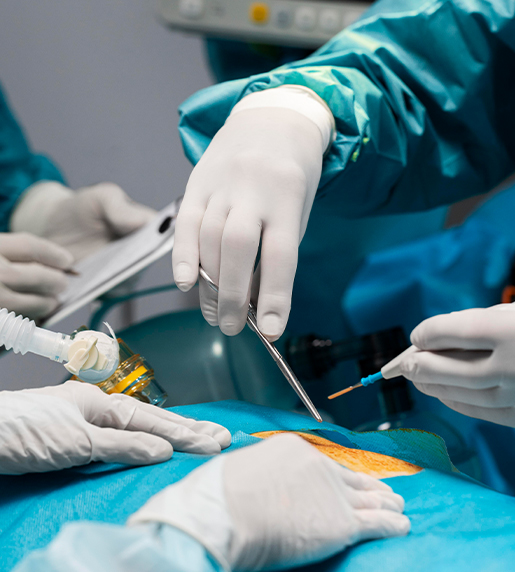 Orthopedics